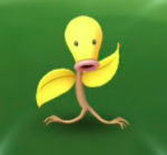 色違いマダツボミ