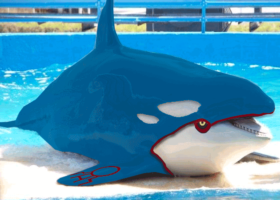 カイオーガの煮付けってうまいの？