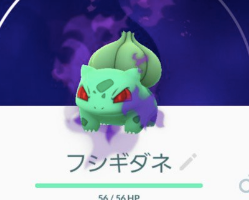 【GOロケット団】シャドウポケモン実装！戦いとGETの手順を徹底攻略！(7/23更新)