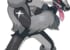 【ポケモン剣盾】マッスグマが「タチフサグマ」ガラル地方で新たな進化！