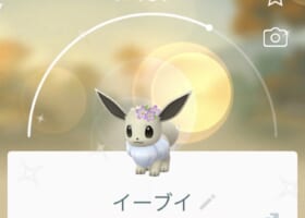 【大発見】9月2日から「花飾りイーブイ」登場！ブイズ花飾りを揃えるチャンス！