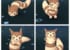 【色違い】オタチ・グライガーみんなは捕まえた？一週間の結果は？