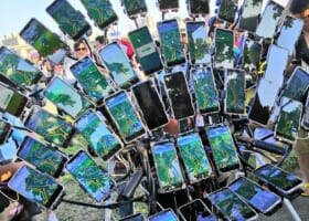 【台湾おじさん】45台の複垢でサファリゾーンに登場！進化が止まらない！