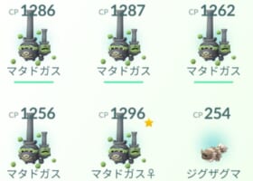 【ガラルマタドガス】性別偏りが酷い！オス・メス両方ゲット出来た人はレア！