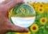 【コミュニティデイ】今日寒すぎ！ってことは夏のコミュニティデイって地獄？