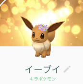 【キラ確率】旧正月のキラ率は爆上がり希望！0.2%から0.3%はヤダ！