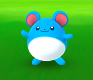 【全然いない】マリルの出現率低すぎ！みんなは捕まえた？【ねずみポケモン】