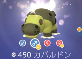 【ヒポポタス】オス・メスの姿が違う!色違いと勘違いする人も!