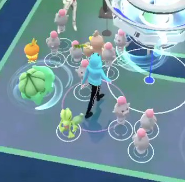 【スポットライトアワー】来週はなんのポケモンにスポットライトが当たる？