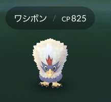 【ランク7報酬】ワシボンはランダムだった！みんなゲットした？