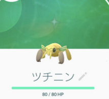 【色違い出現確率】ツチニンの色違い何匹目でゲットできた？