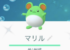【マリルデイ開始】みんな今回のイベント個体値はどう？？