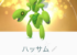 【キラフレンド】実装間近!予想機能はこれだ!!大親友と遊ぶとキラ確定やばい!