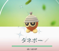 【結局ボール購入】タネボーデイなのに相棒が仕事しない