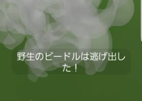 【ビードルコミュニティデイ】限定技ドリルライナーみんなの反応は？