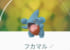 フカマルが星2レイドに登場!高個体値と色違いのGETのチャンス!