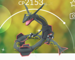 【ホウエン】ぼうふうレックウザGET報告!色違い出てきた人いる?