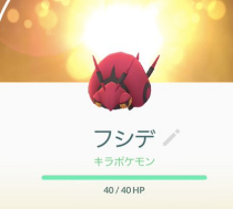 今日のポケモンGO占い【11月8日】