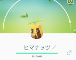 【道具をつかって進化】ヒマナッツの使いみちってなに？
