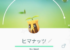 【道具をつかって進化】ヒマナッツの使いみちってなに？