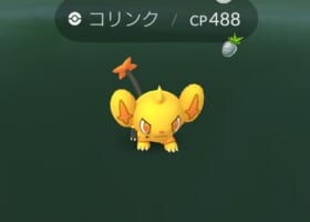 【タスク産】野生・レイドの色違いの確率を検証してみた！種族ごとに違うのか！