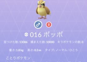 いえーい！ポッポ１万匹ゲット〜！みんなはポッポ何匹捕まえた？